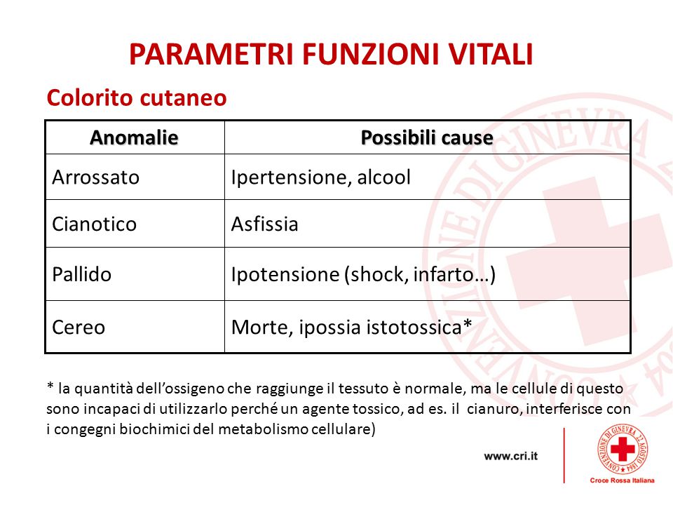 PARAMETRI VITALI Modulo 1 Lezione D Croce Rossa Italiana Ppt Scaricare